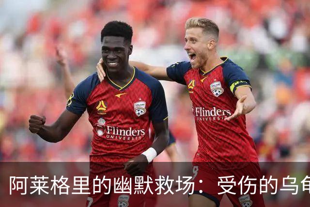 阿莱格里的幽默救场：受伤的乌龟与冲刺的小鹿